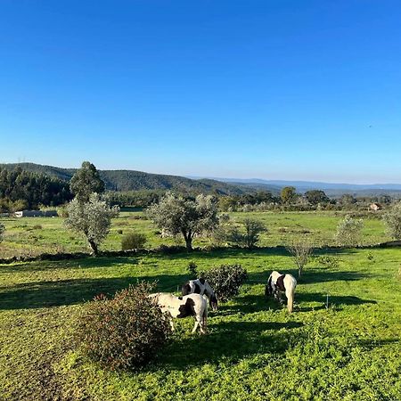 Quinta Da Barroca Do Cabo Bed & Breakfast Ázere Eksteriør bilde