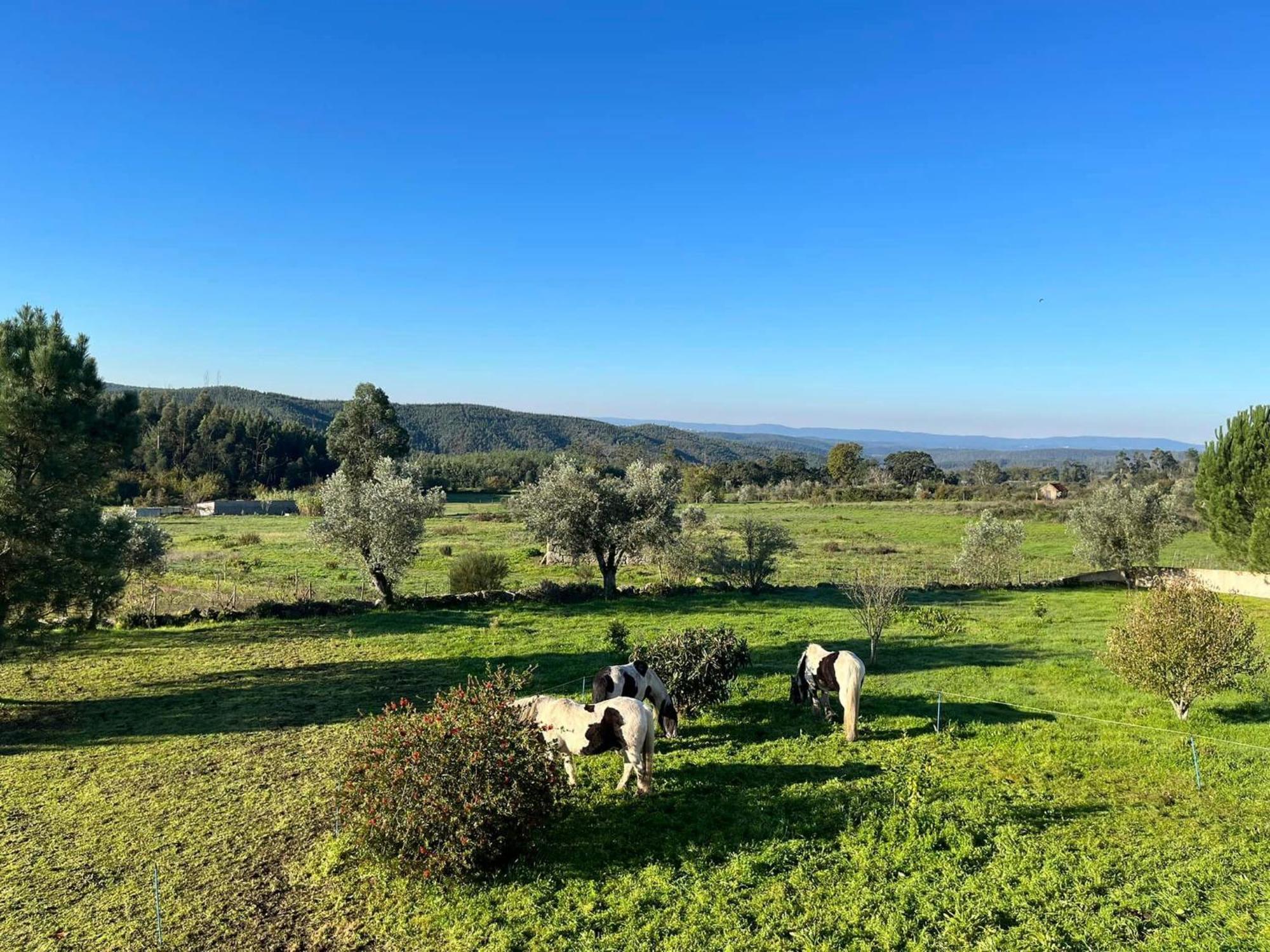 Quinta Da Barroca Do Cabo Bed & Breakfast Ázere Eksteriør bilde